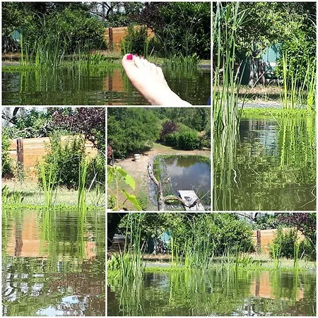 Ferienwohnung Am Schwimmteich 2 Lachendorf Exterior foto