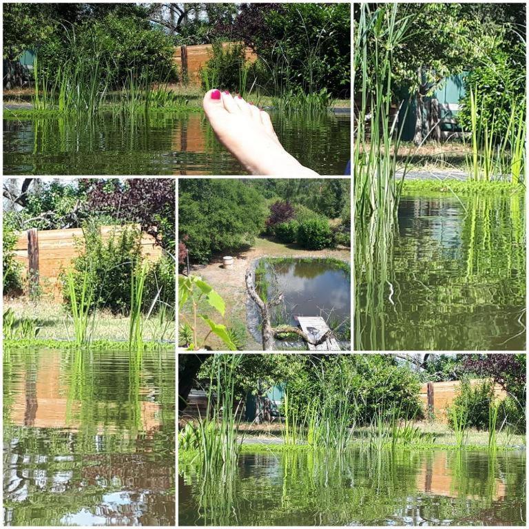 Am Schwimmteich 2 Apartment *